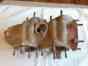 0-100-1 Mcculloch 4-cyl Vintage 4318a Model Housing Engine