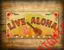 0172 Signsandtagsonline Live Aloha Hawaiian License Plate Flip Flops Palm Trees Lei Flowers Hawaii Sign