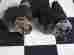 10-163050-9 S6ln-204 One Bendix Magneto As Removed No Core Charge