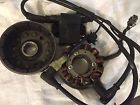 111111111 Ducati Ignition Complete Fits 380 447 503 Rotax Engines