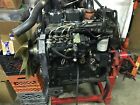 3.9-c100 4bt Cummins Turbo Charged