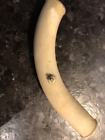 633822 Continental Engine Part Number Tube
