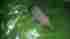 7583431 Filter Element P N New