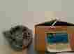 Alk-1132-as-1 Prestolite Alk 1132 As 1 New Alternator Housing With Brg Seal Kit Aircraft