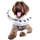 B-m Boobooloon Inflatable Pet Recovery Collar Medium Size 837654906828