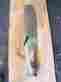 C8475-4 Hartzell Aircraft Propeller Blade