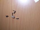 021620-06-004 P-n Ea Contact Socket Pin Electric New