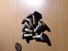 Bacb30np4-5 P-n Ea Bolt Unsealed