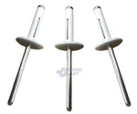 Large Head White Exploding Rivets Pop 250 Ct. Tri-fold Racing Fasteners. Fixed Price $49.95.