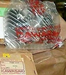 Kawasaki Cylinder Head 11001-3007. Fixed Price $24.90.