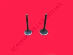 Harbor Freight Predator 63966 6.5KW 301CC Gas Generator Intake Exhaust Valve Set. Fixed Price $29.99.