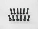Hydraulic Tappets W/ Plungers & Sockets Lycoming TIO-540 -pn: 72877 -lot B1480. Fixed Price $595.00.
