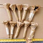 10 New Engine Valves Maybe For Circa 1960S Curtis Airplanes. Fixed Price $40.00.