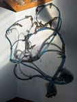 Bendix Magneto Ignition Harness. Fixed Price $75.00.