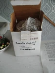 Zenith Fuel System DS-289080, 013731, Bendix Carburetor Standard Fit, 72 Harley. Fixed Price $350.00.