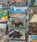 Postcards Lots Of 50EA - Mostly All Over Yrs Old Vtg Various Types And Topics. Fixed Price $26.44.