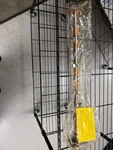 Lycoming Camshaft LW13908 Repaired. Fixed Price $1050.00.